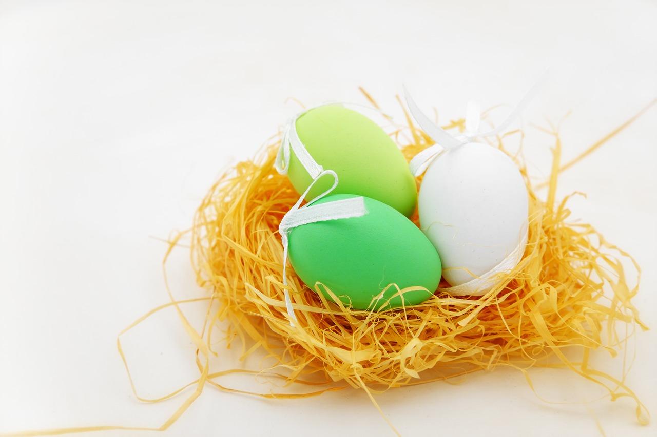 easter eggs egg nest free photo