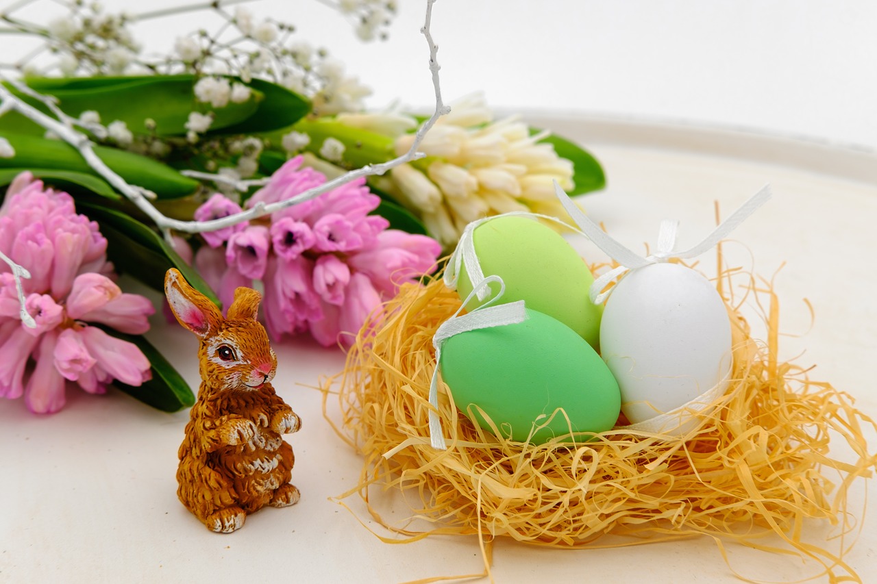 easter eggs egg nest free photo