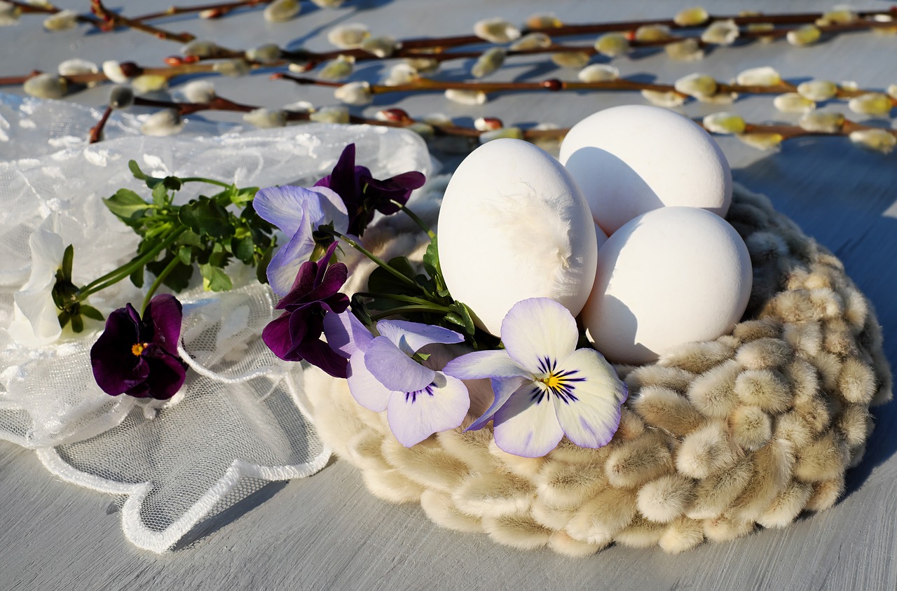 easter eggs egg white free photo