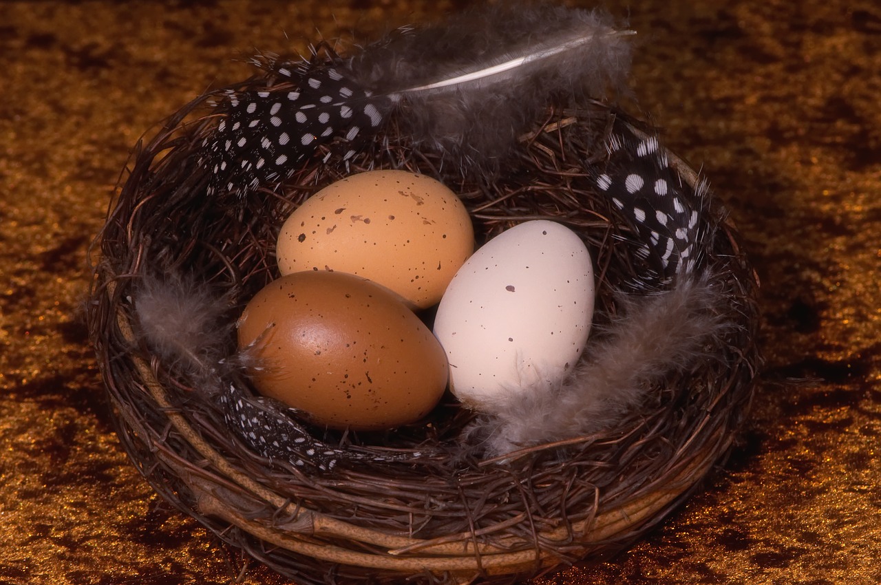 easter eggs  easter nest  easter free photo