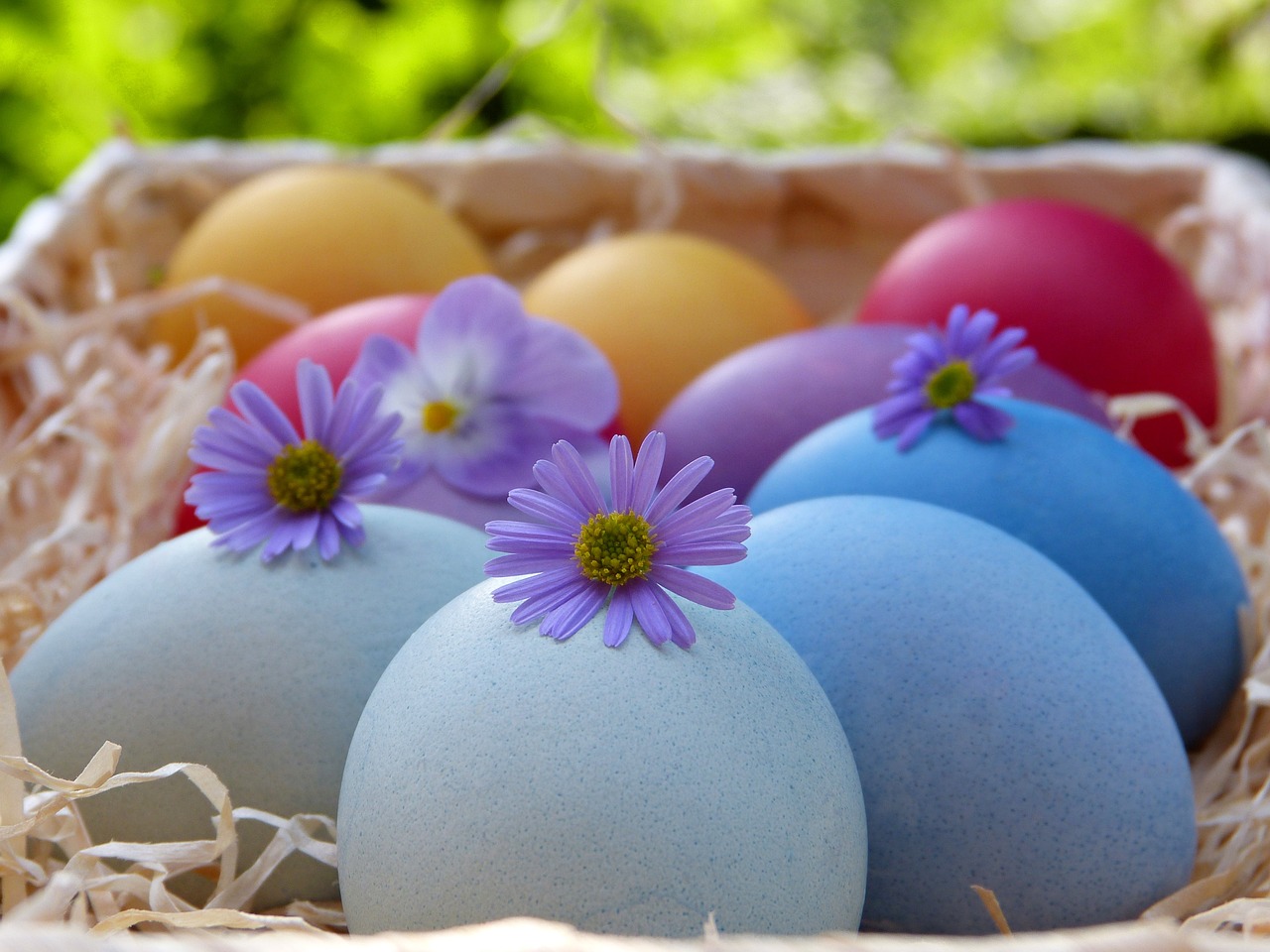 easter eggs  basket  colorful free photo