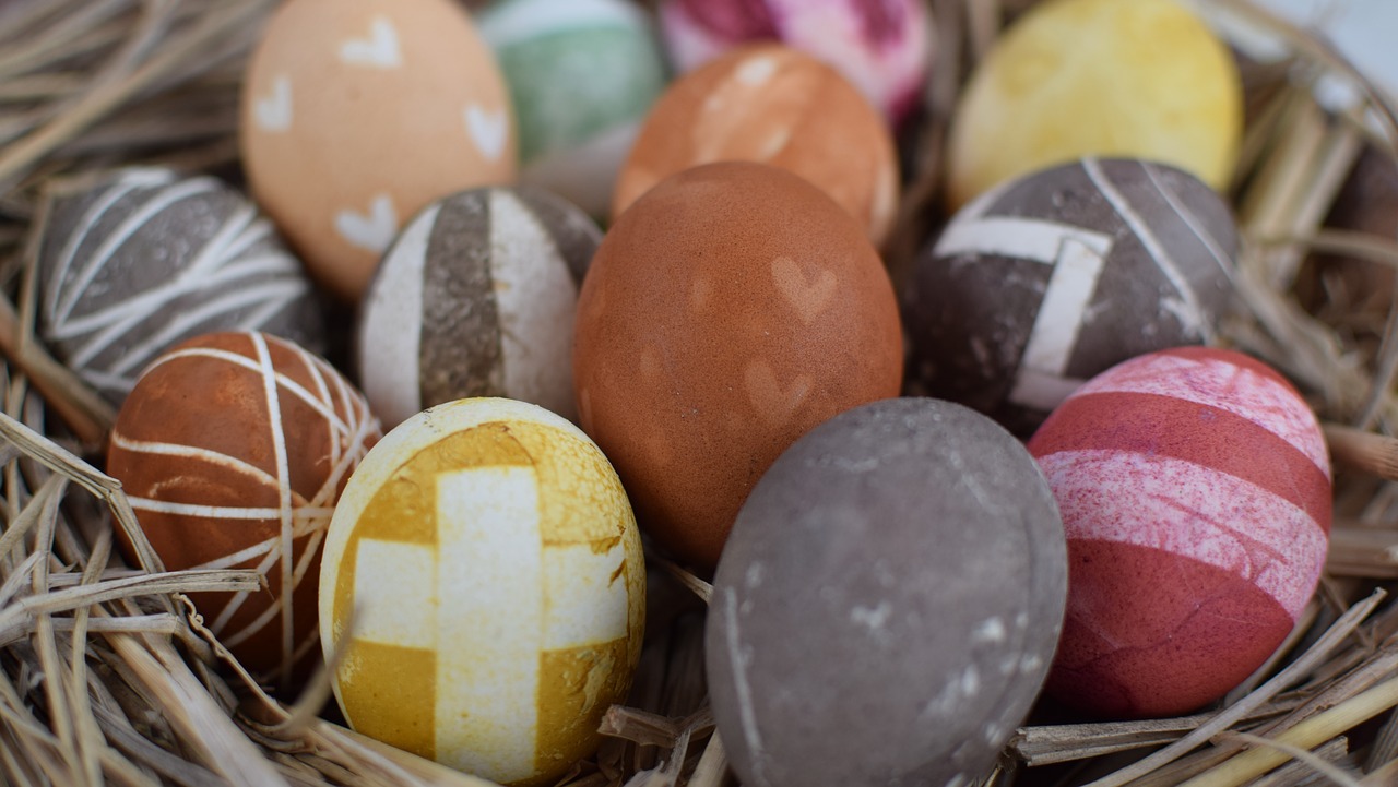 easter eggs  easter egg  natural dyeing free photo