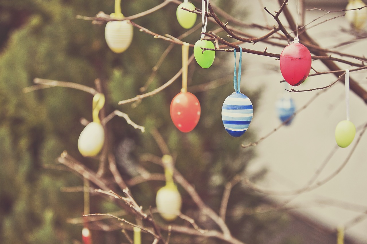easter eggs easter colorful free photo