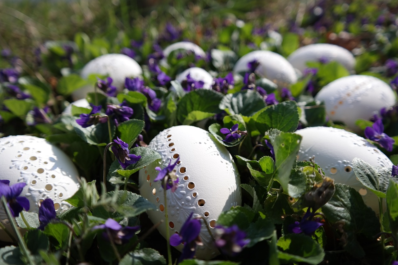 easter eggs white violet free photo