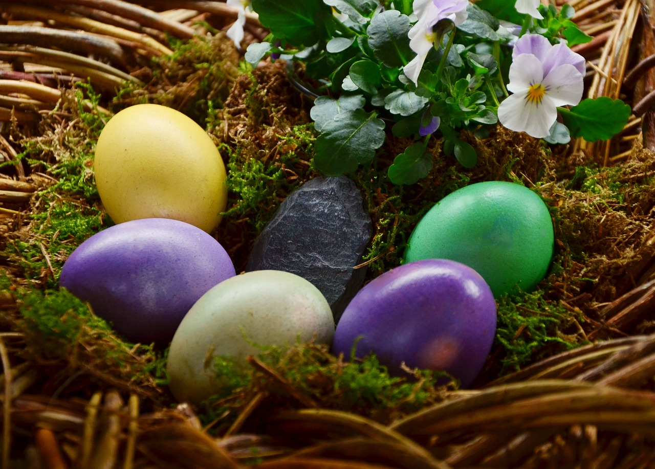 easter eggs egg colored free photo