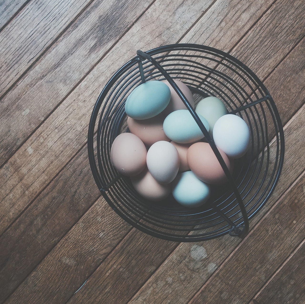 easter eggs eggs colored free photo