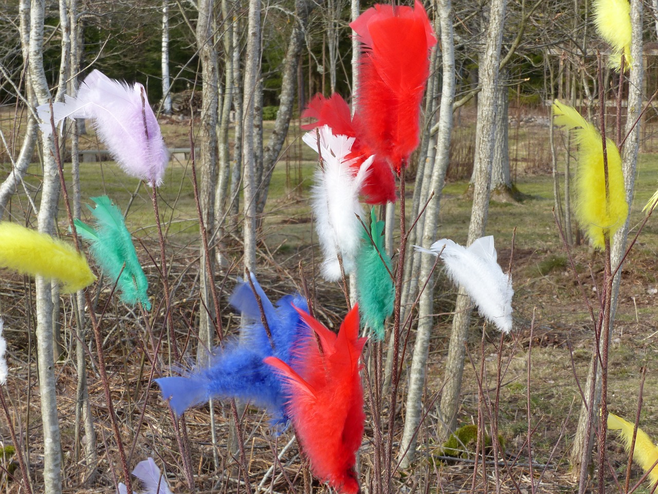 easter feathers colors easter free photo