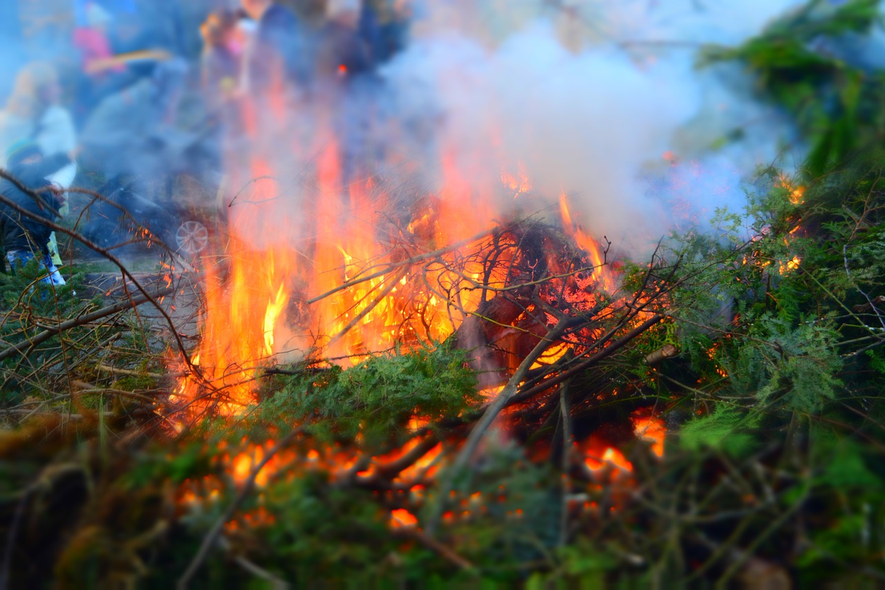 easter fire branches leaves free photo