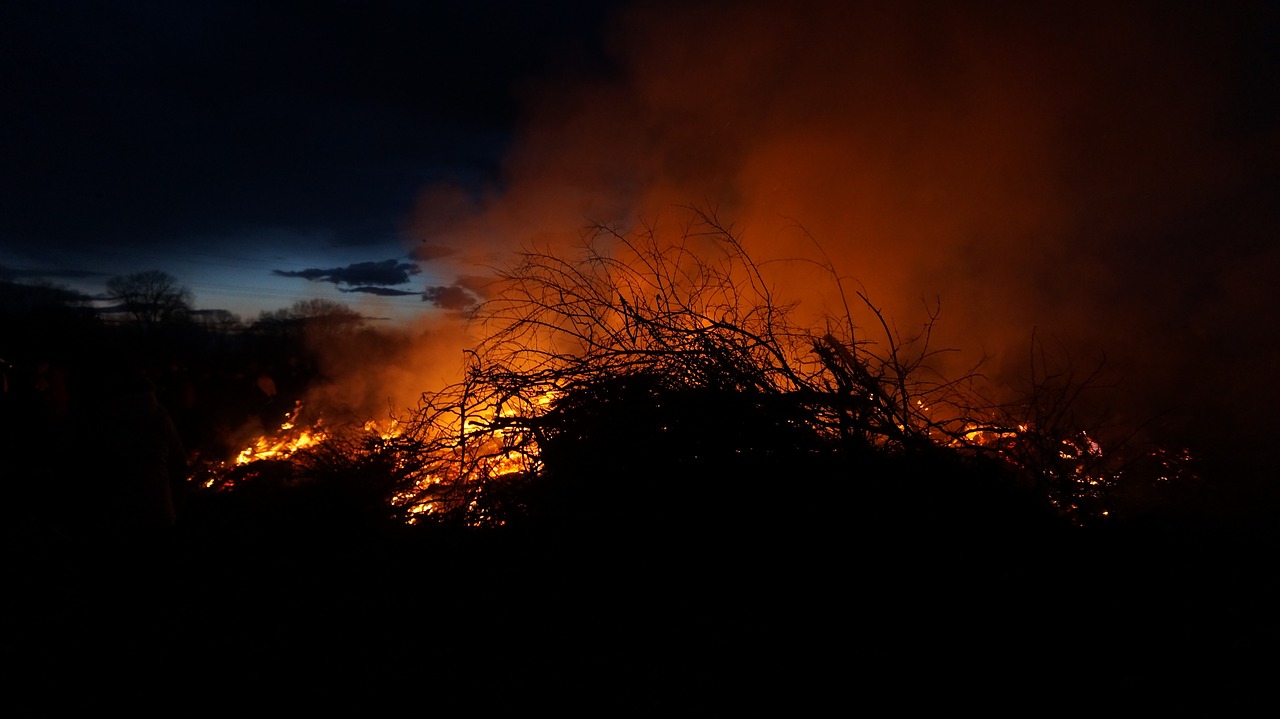 easter fire fire branches free photo