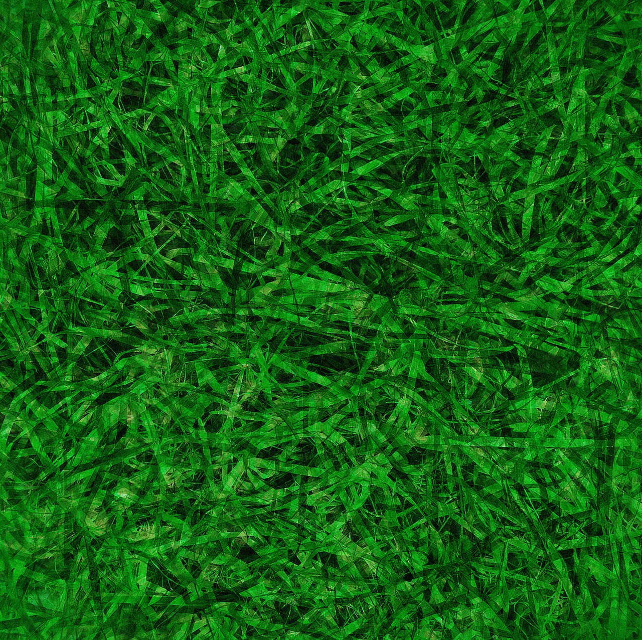 easter grass background green free photo