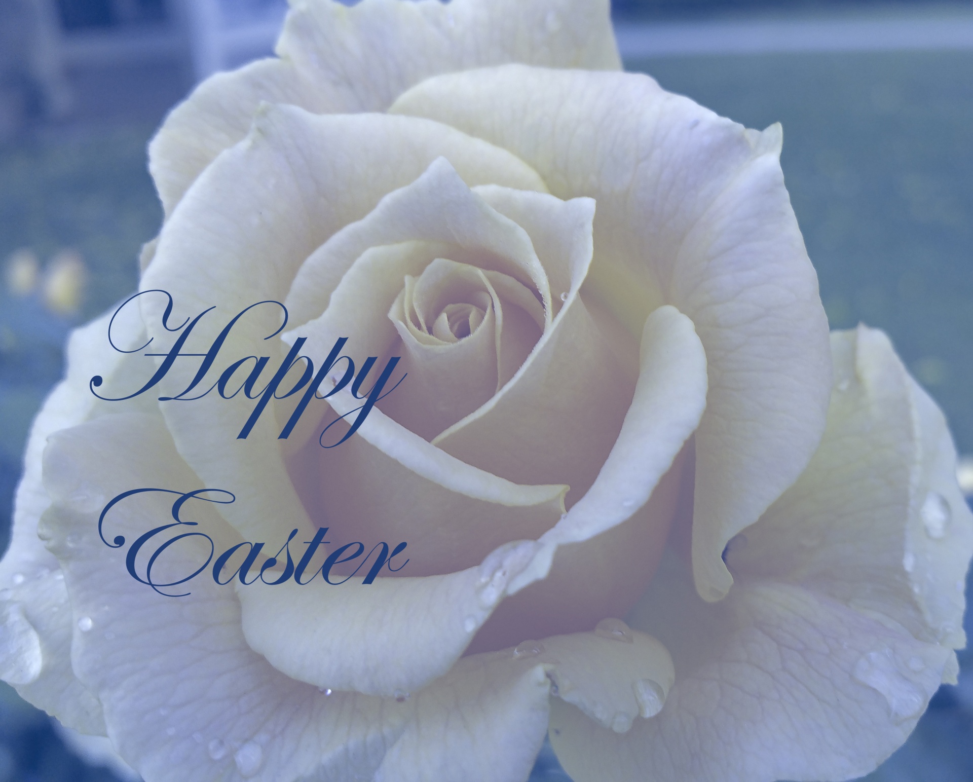 easter greeting happy easter free photo