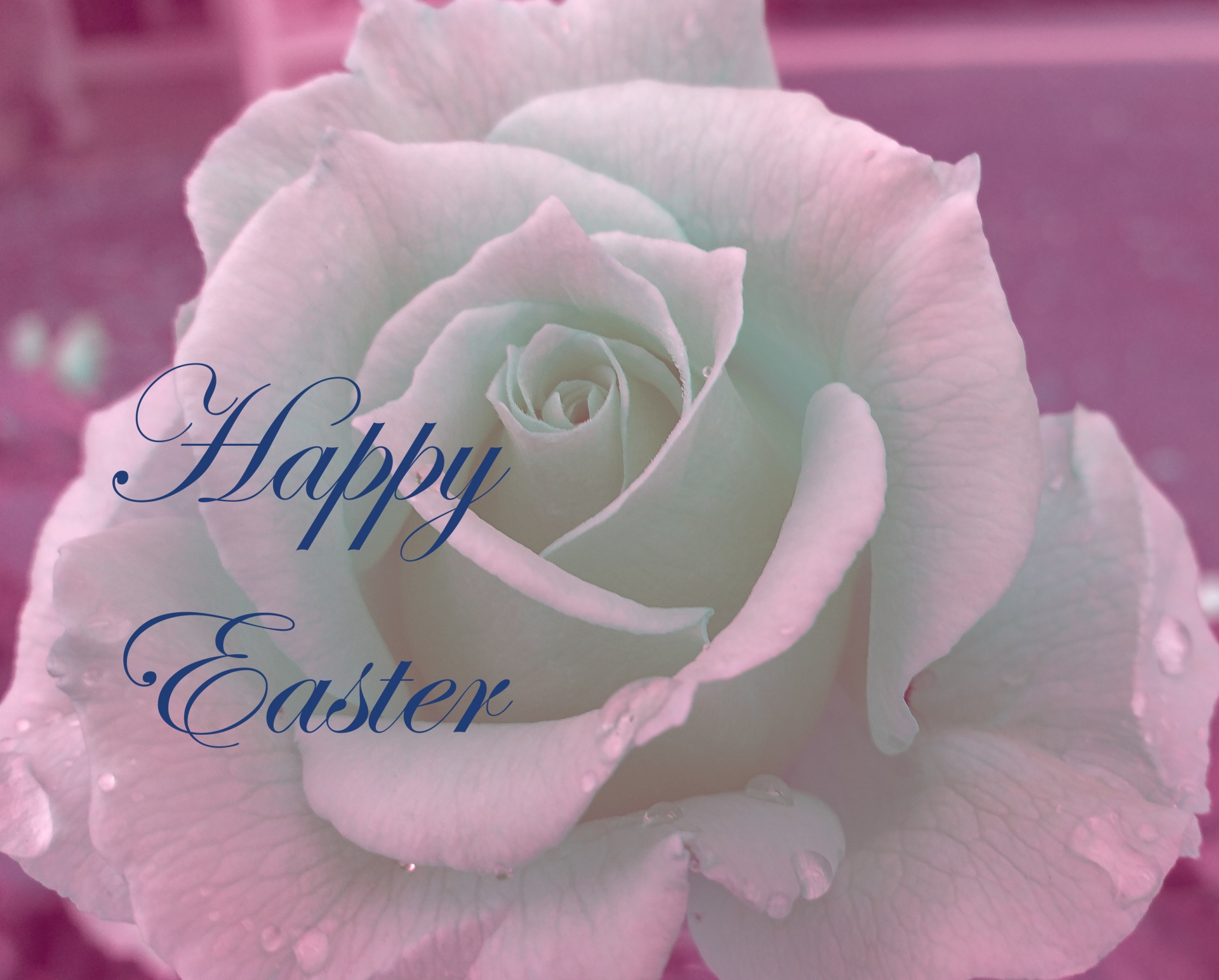 easter greeting happy easter free photo