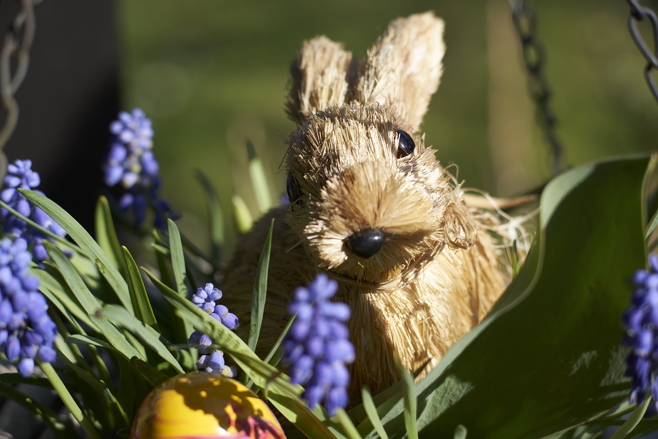 easter image  easter  easter bunny free photo