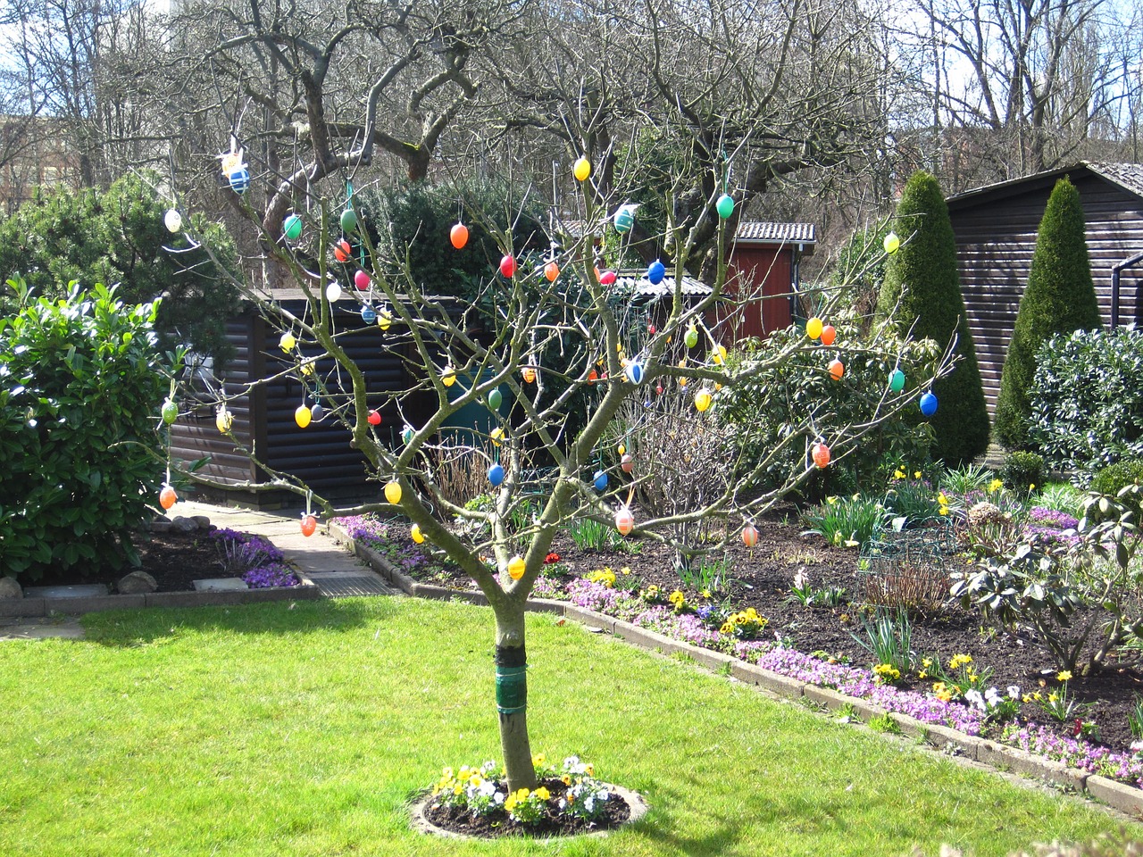 easter in the allotment easter eggs in the tree colorful easter eggs free photo
