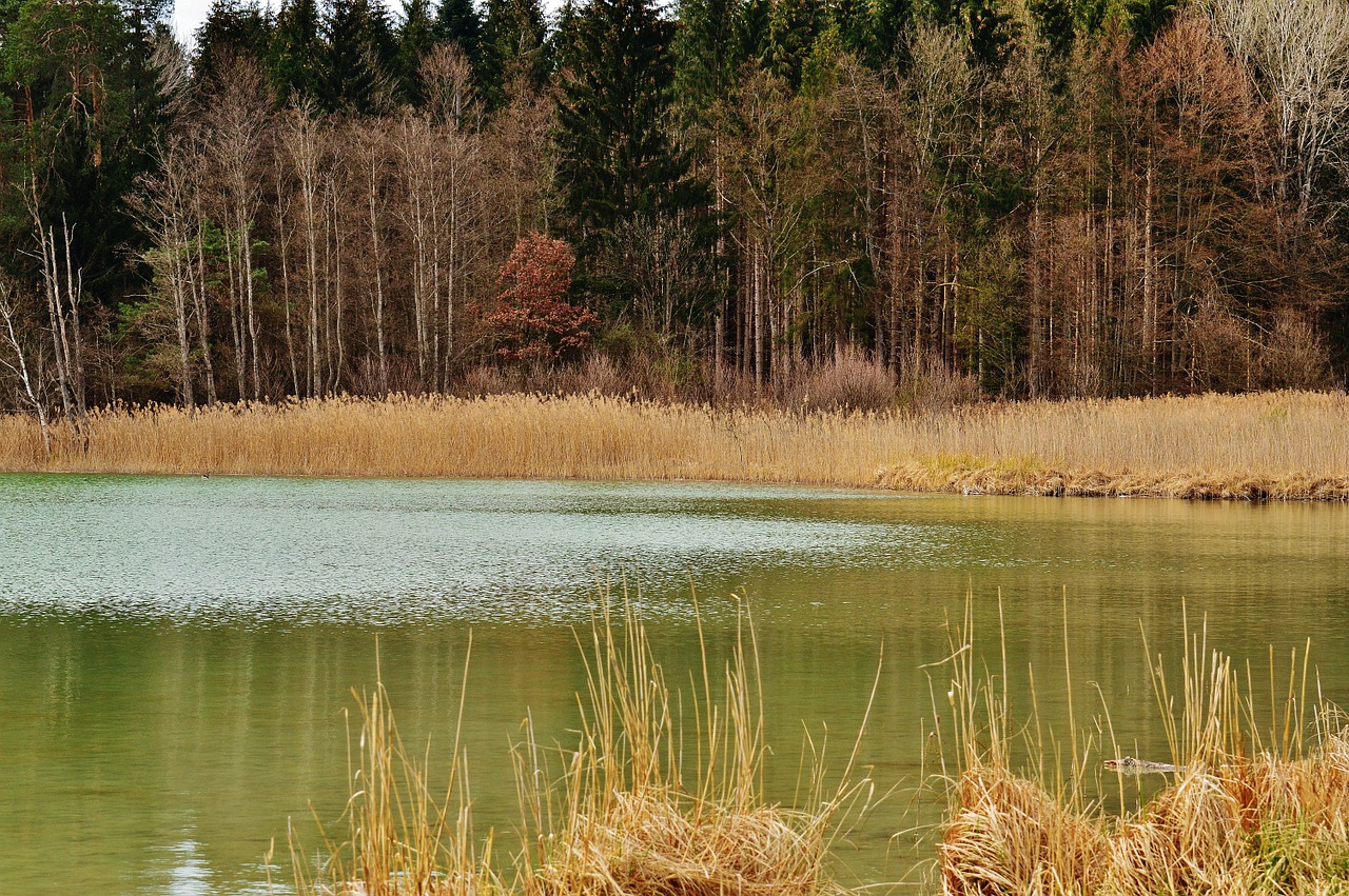 easter lake iffeldorf landscape free photo