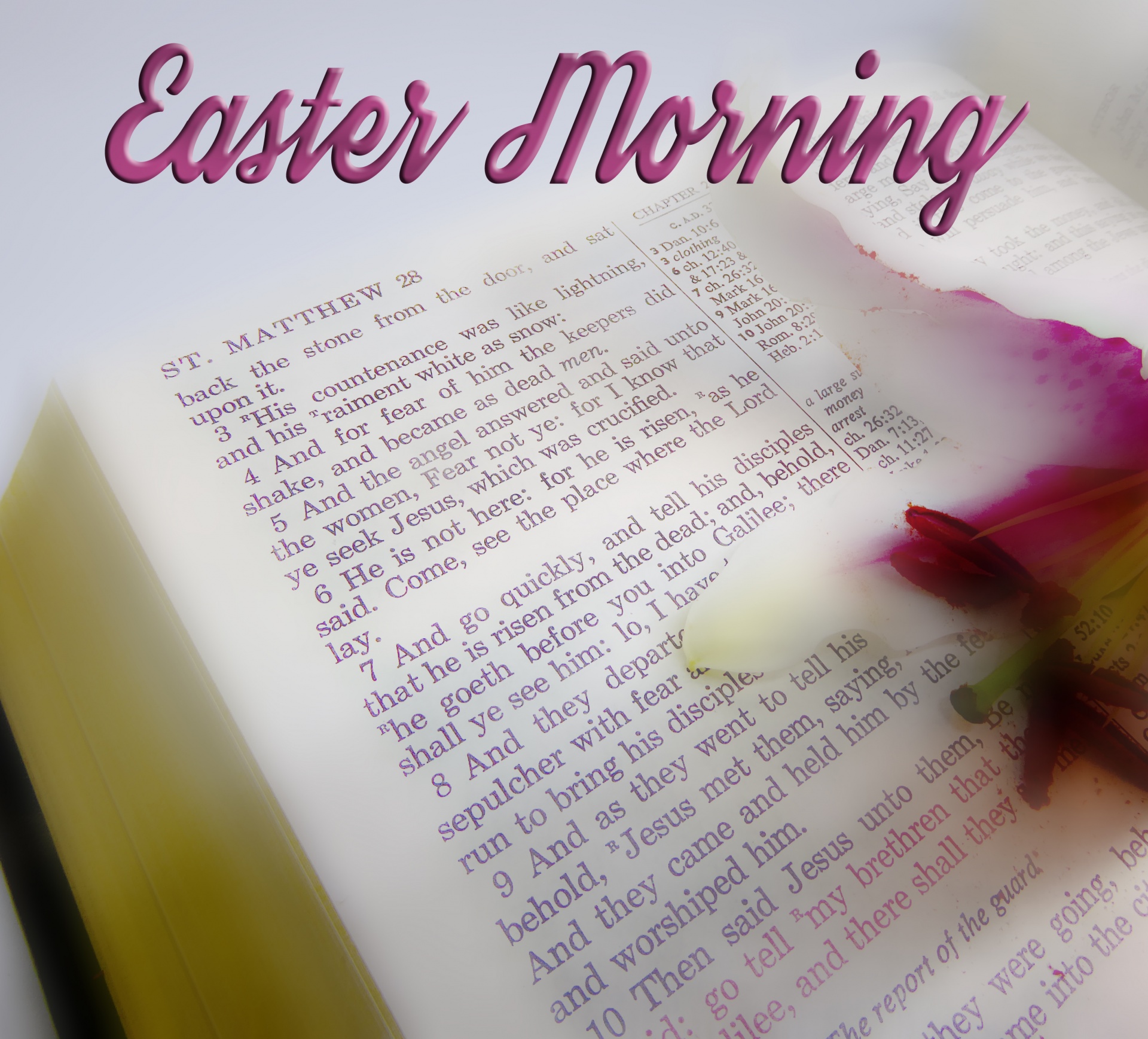 easter morning greeting card free photo