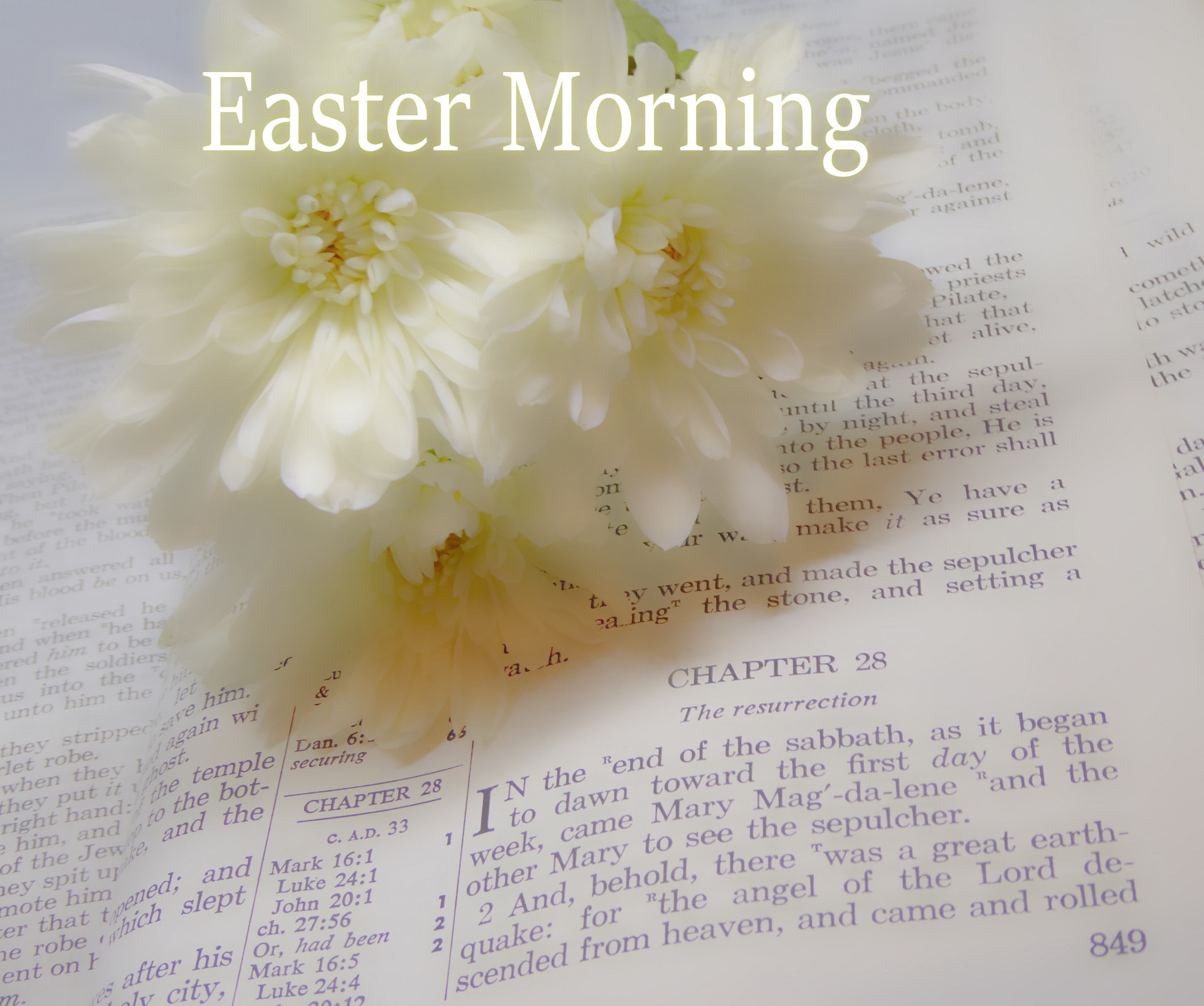 easter morning scripture matthew free photo