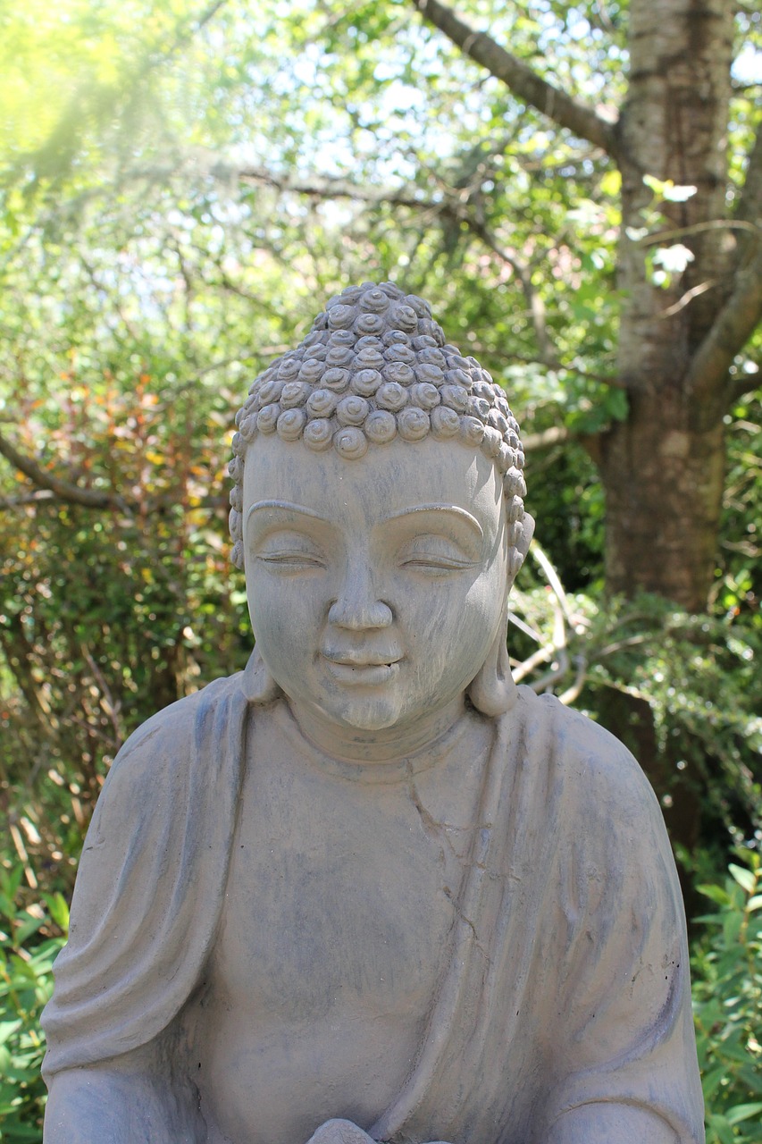 eastern zen spiritual free photo