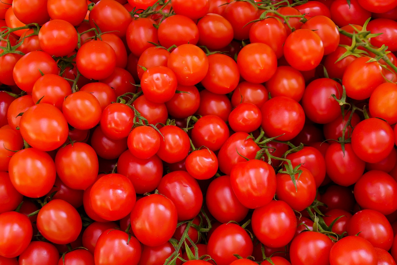 eat food tomatoes free photo