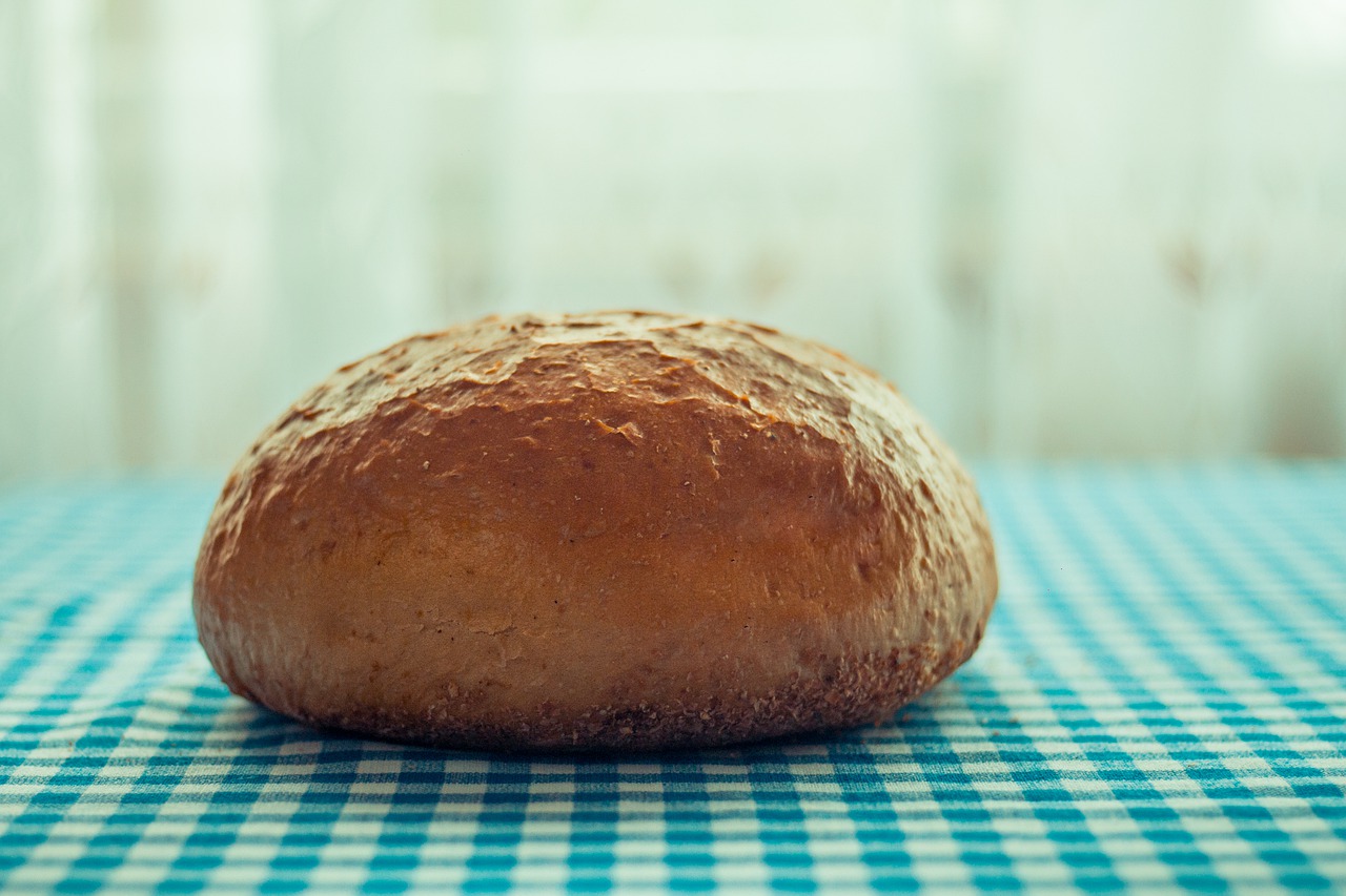 eating no one bread free photo