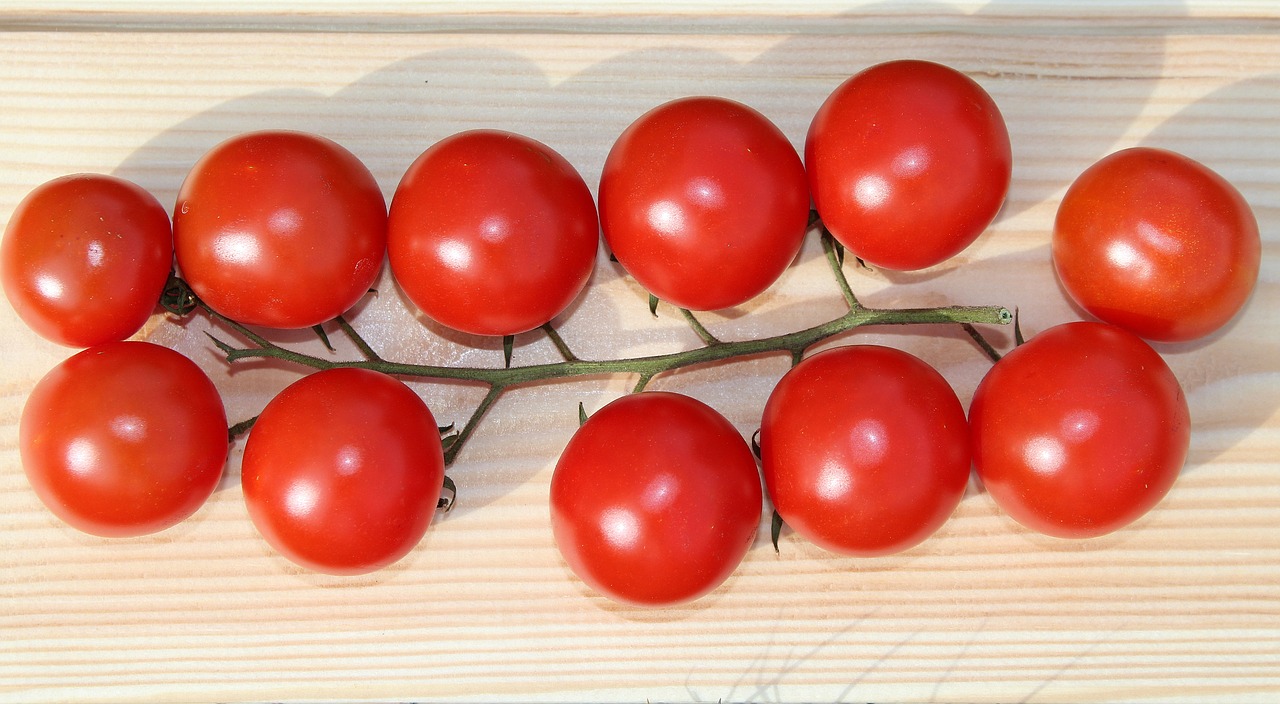 eating tomato a vegetable free photo