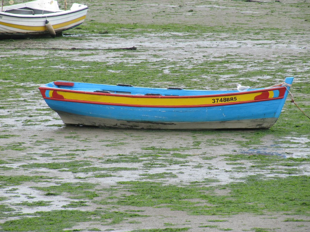 ebb boot holiday free photo