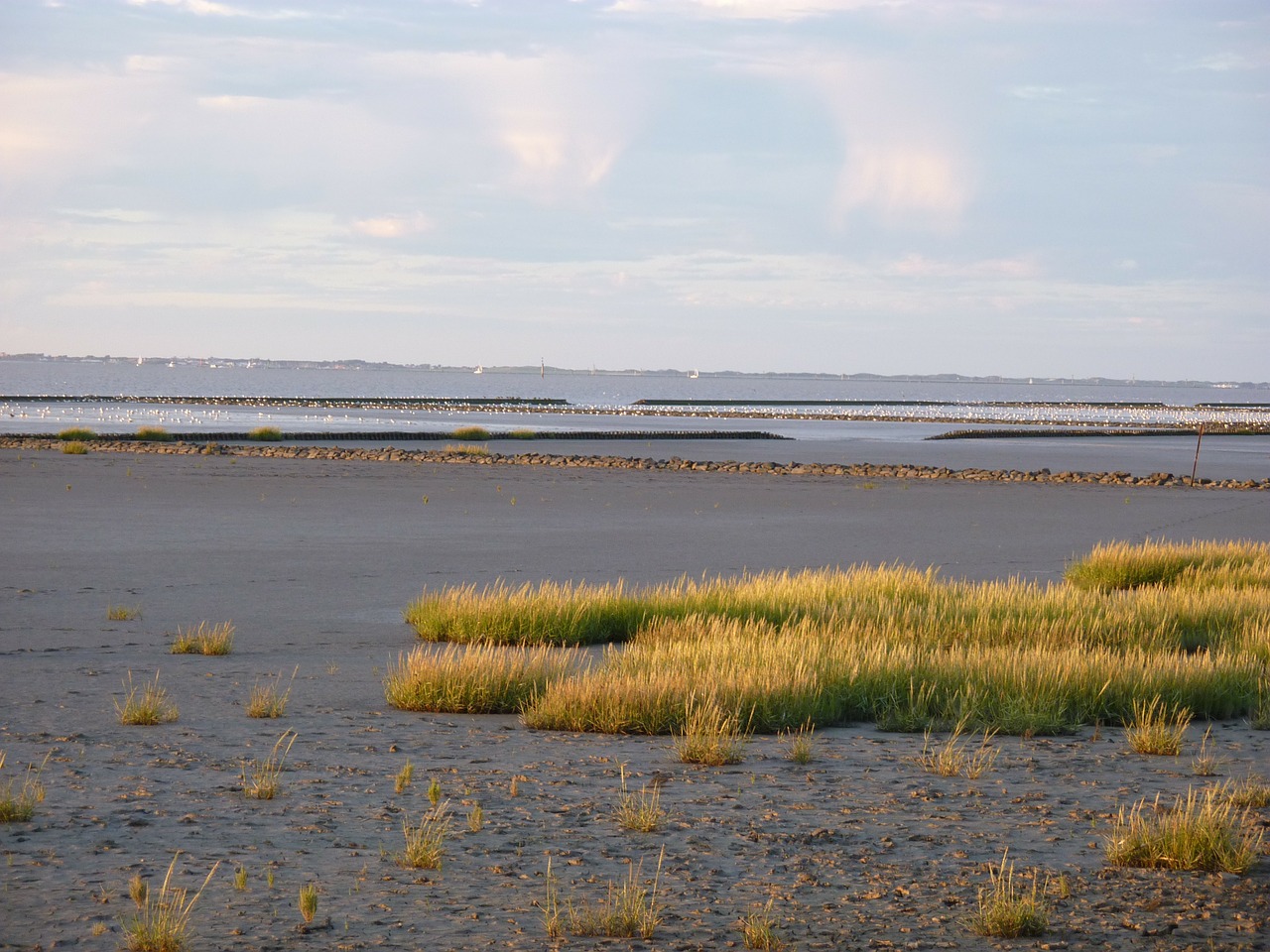 ebb tides water free photo