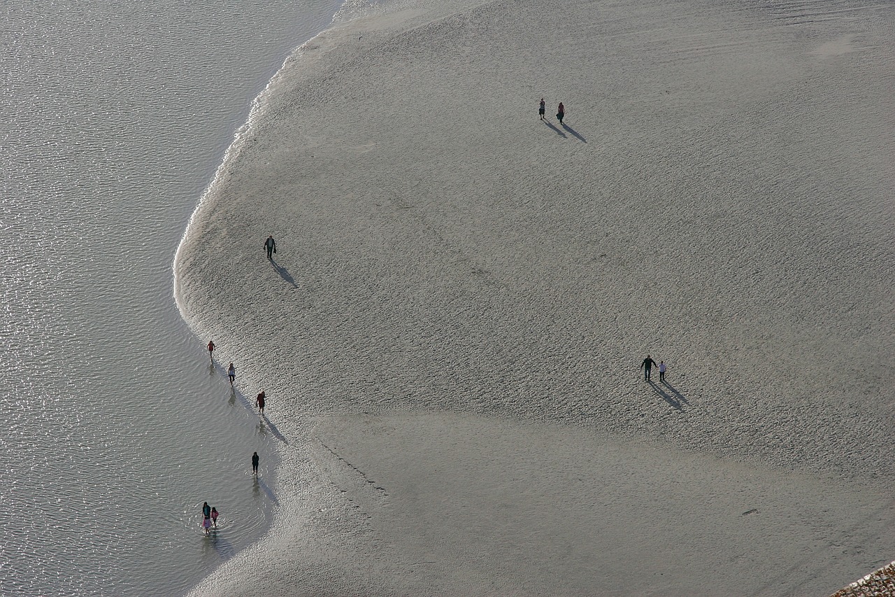 ebb beach sand free photo