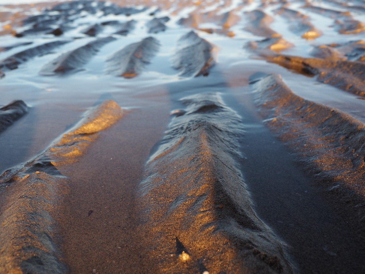 ebb flood water free photo