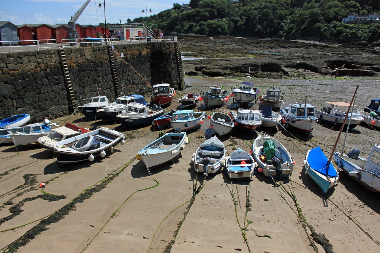 ebb boats port free photo