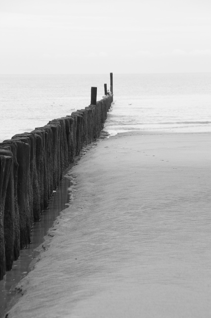 ebb sea beach free photo