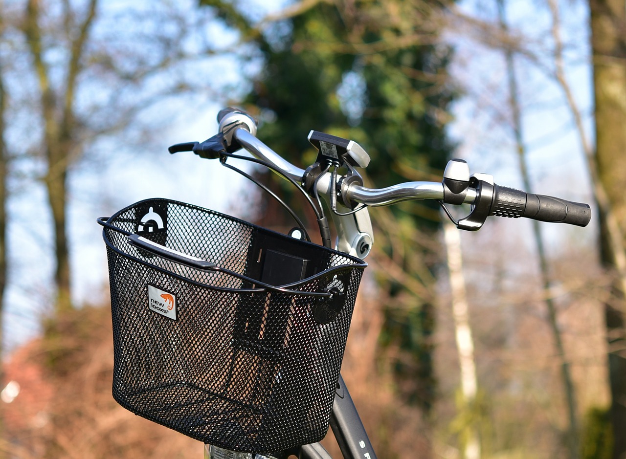 ebike e-bike handlebars free photo