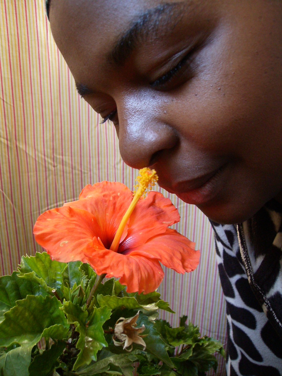 ebony woman flower free photo