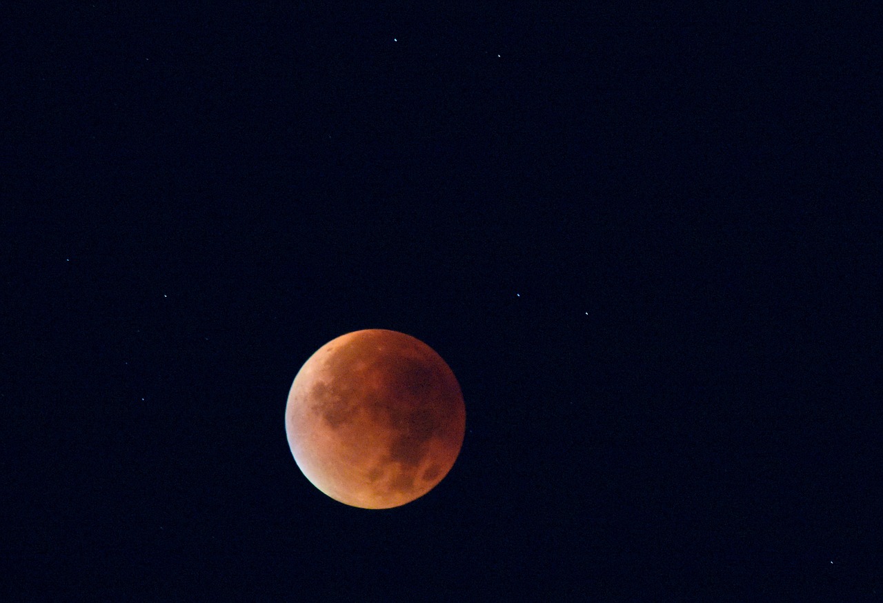 eclipse red moon moon of blood free photo