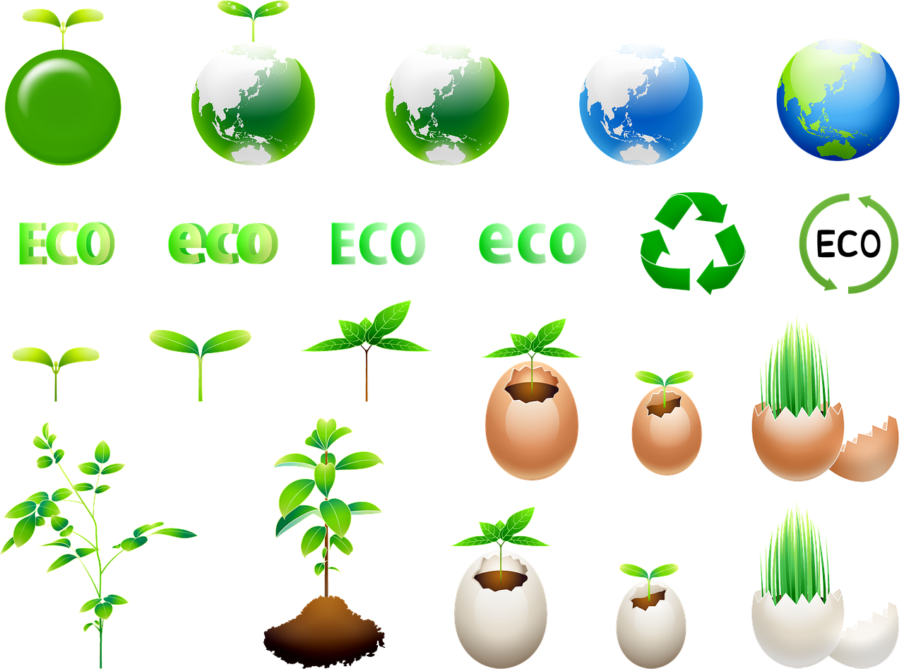 eco  ecology  environment free photo