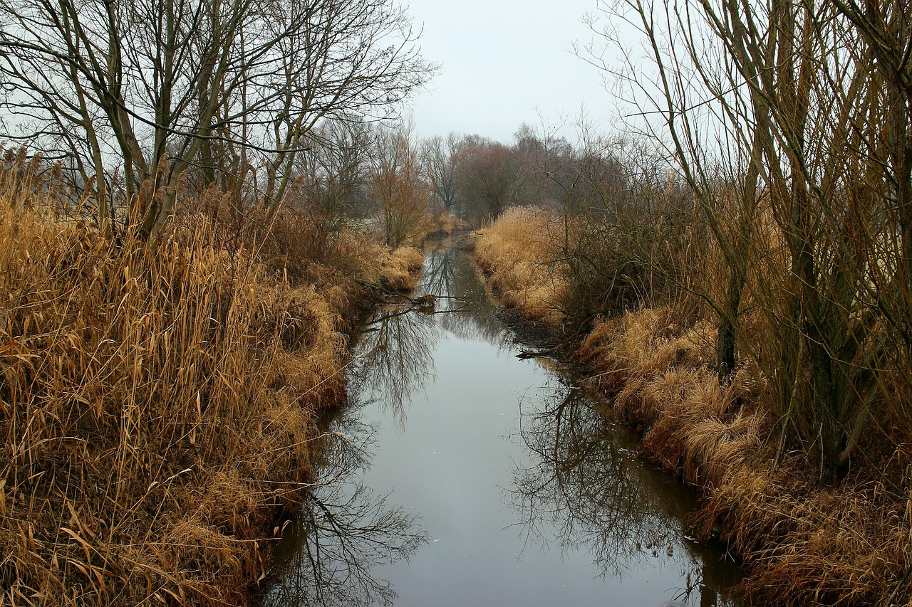 eco system biotope entwạ̈sserungskanal free photo