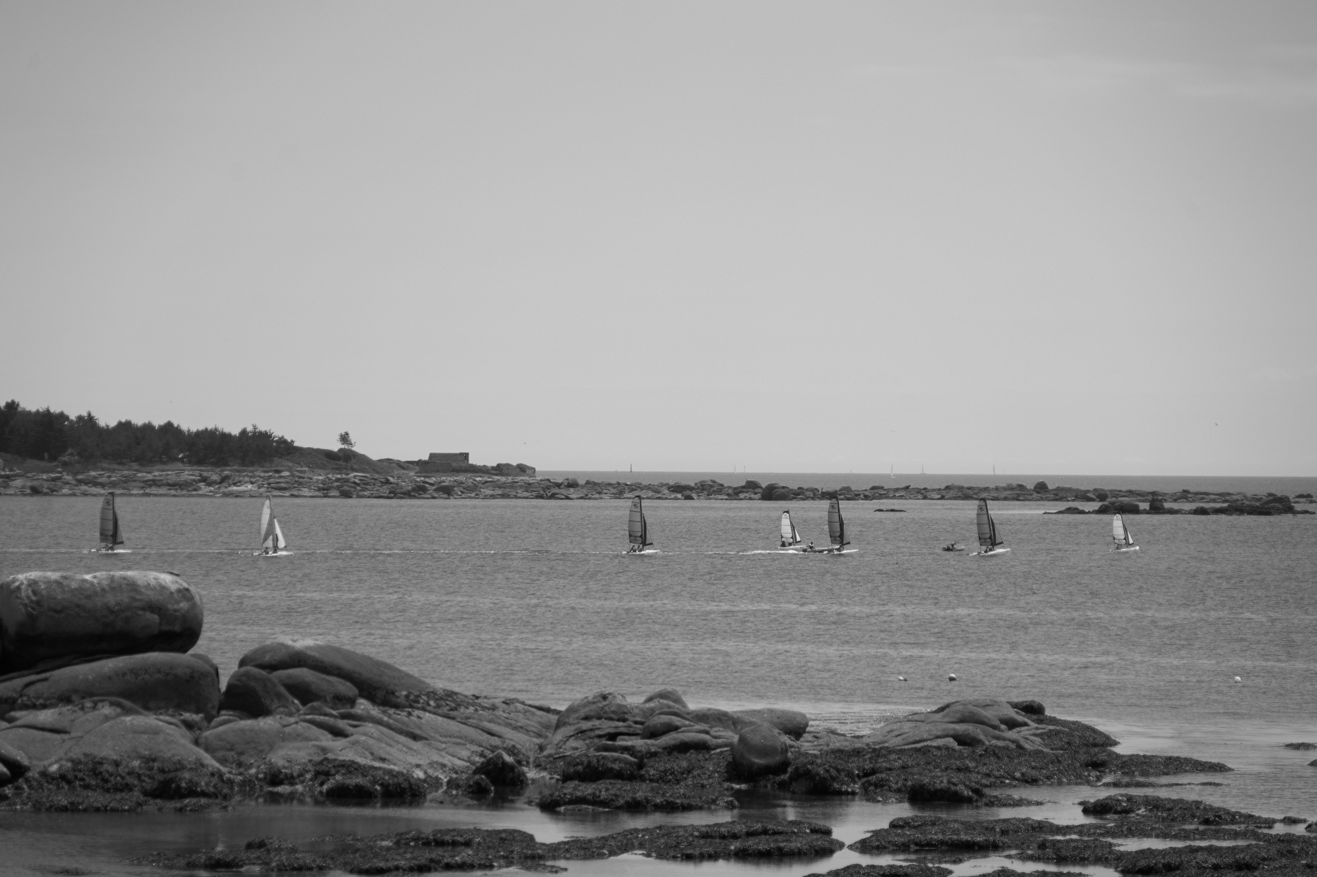 sailing sailboats transportation free photo