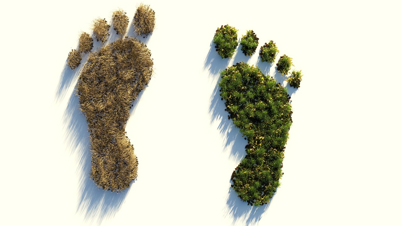 ecological footprint  climate protection  environmental destruction free photo