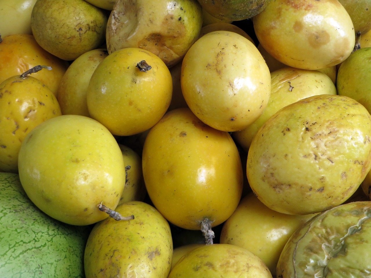 passion fruit exotic fruits ecuador free photo