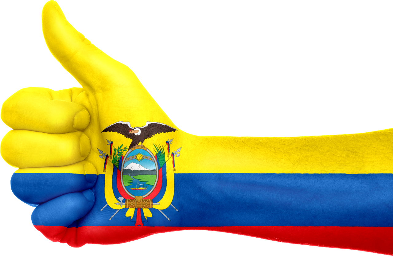 ecuador flag hand free photo