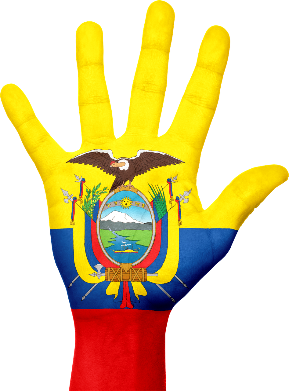 ecuador flag hand free photo