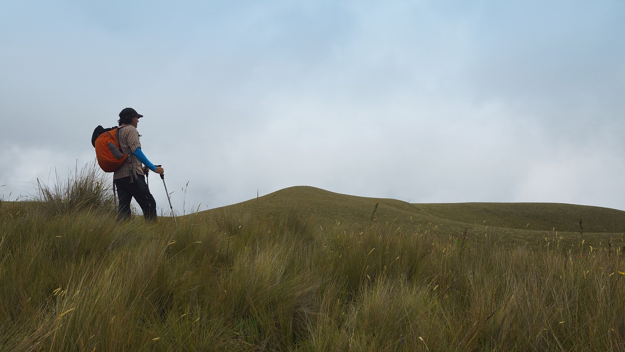 ecuador andes paramo free photo