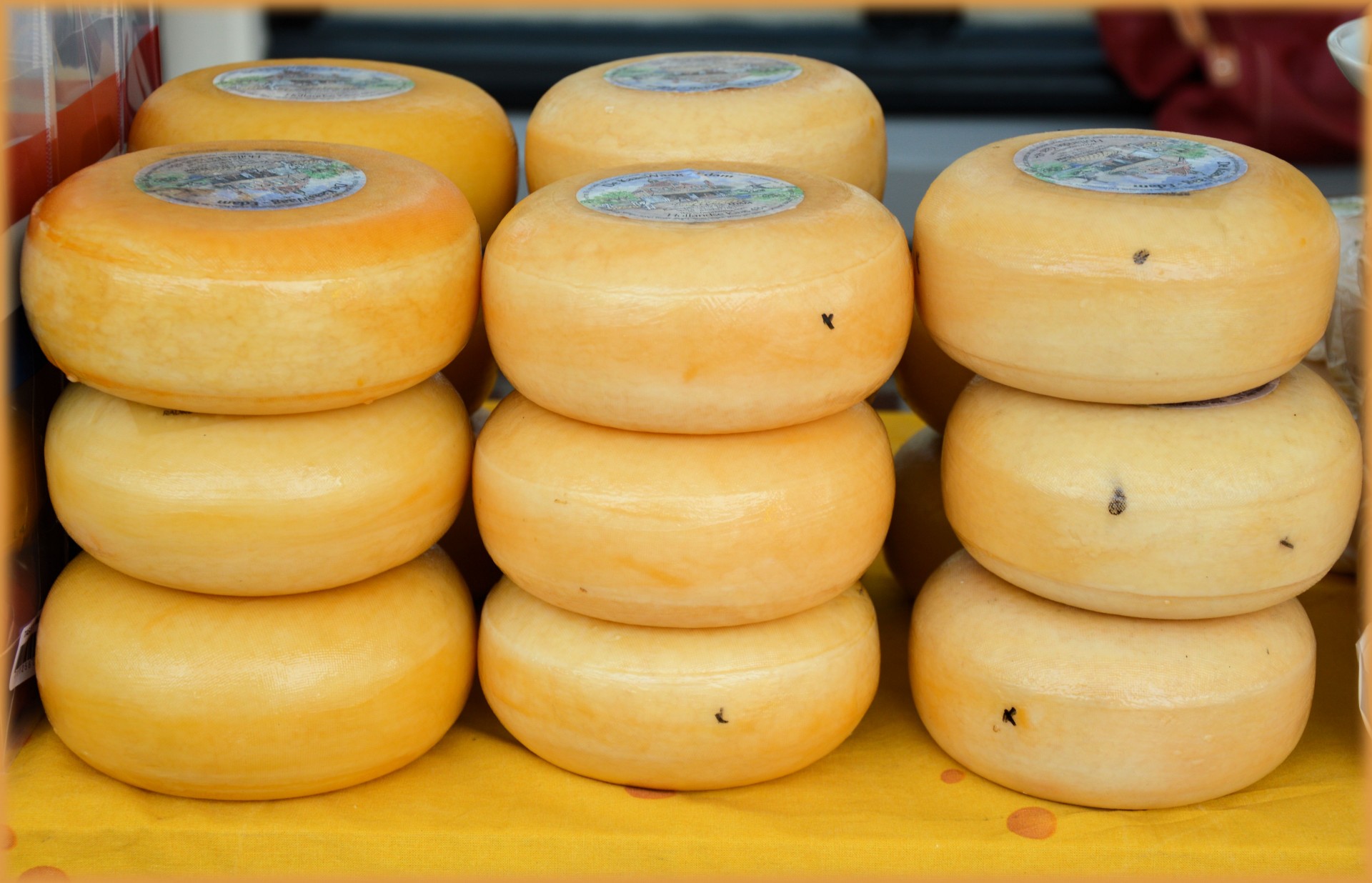 cheese edam beemster free photo