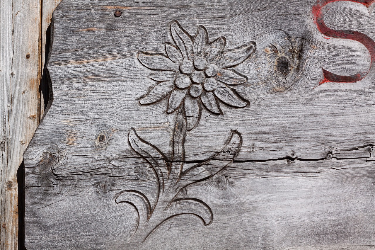 edelweiss carved engraving free photo