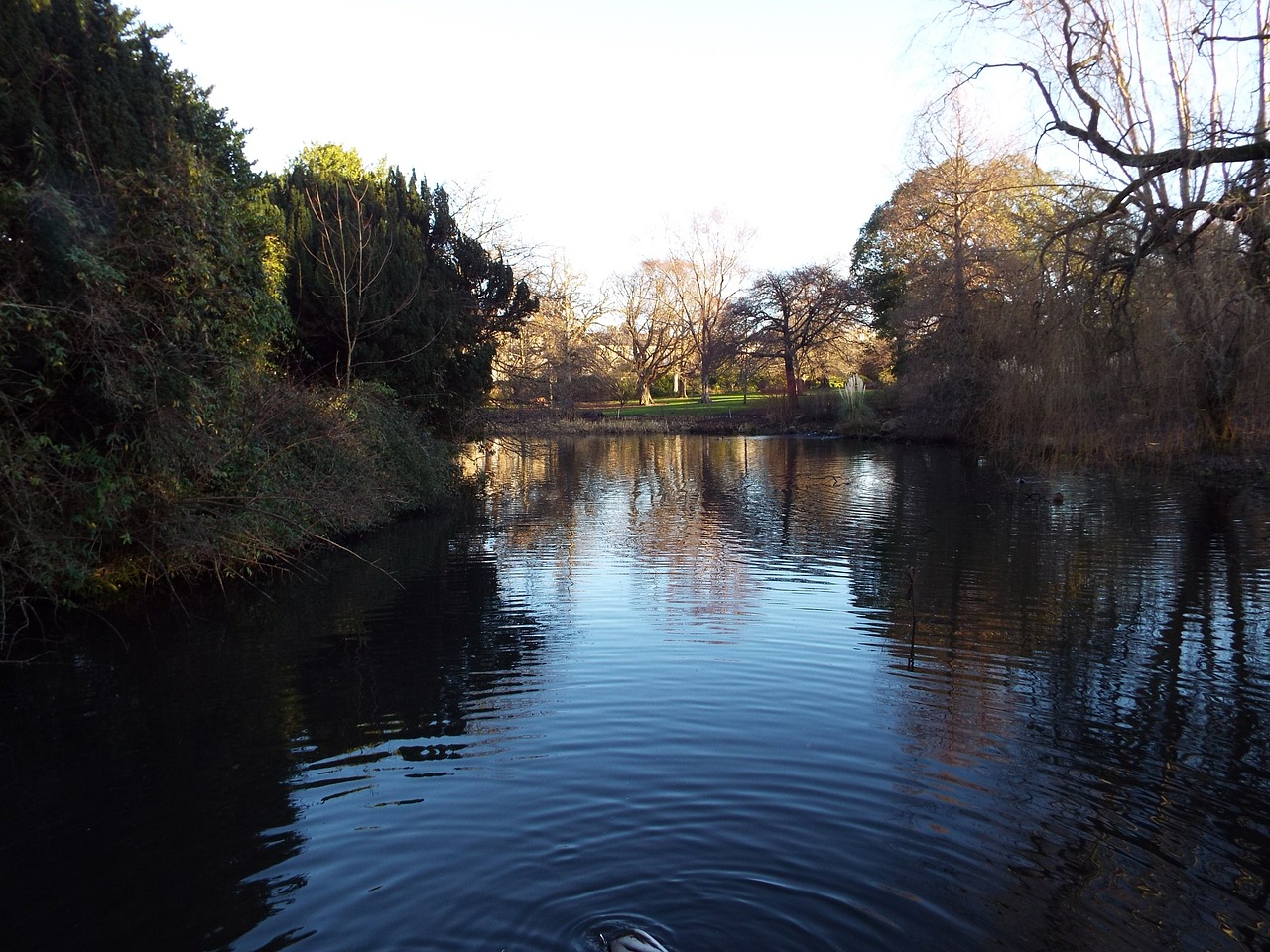 edinburgh botanic gardens water feature free photo