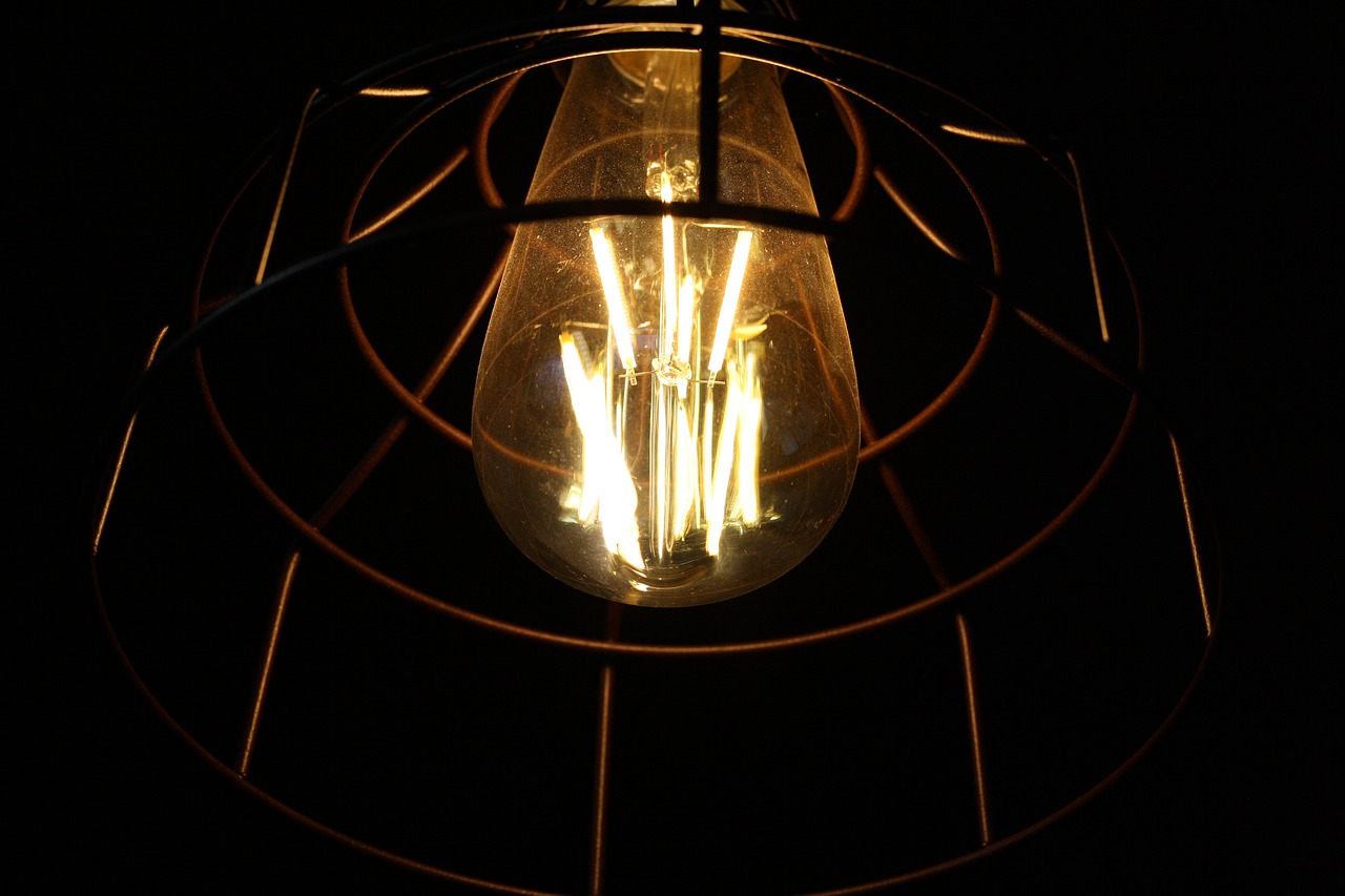 edison  lamp  light bulb free photo