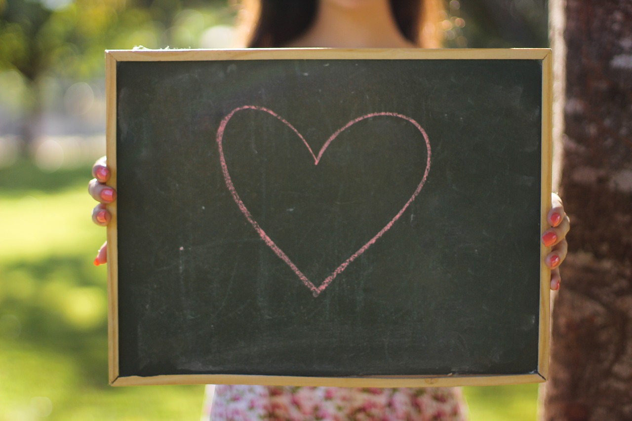 education  school  blackboard free photo