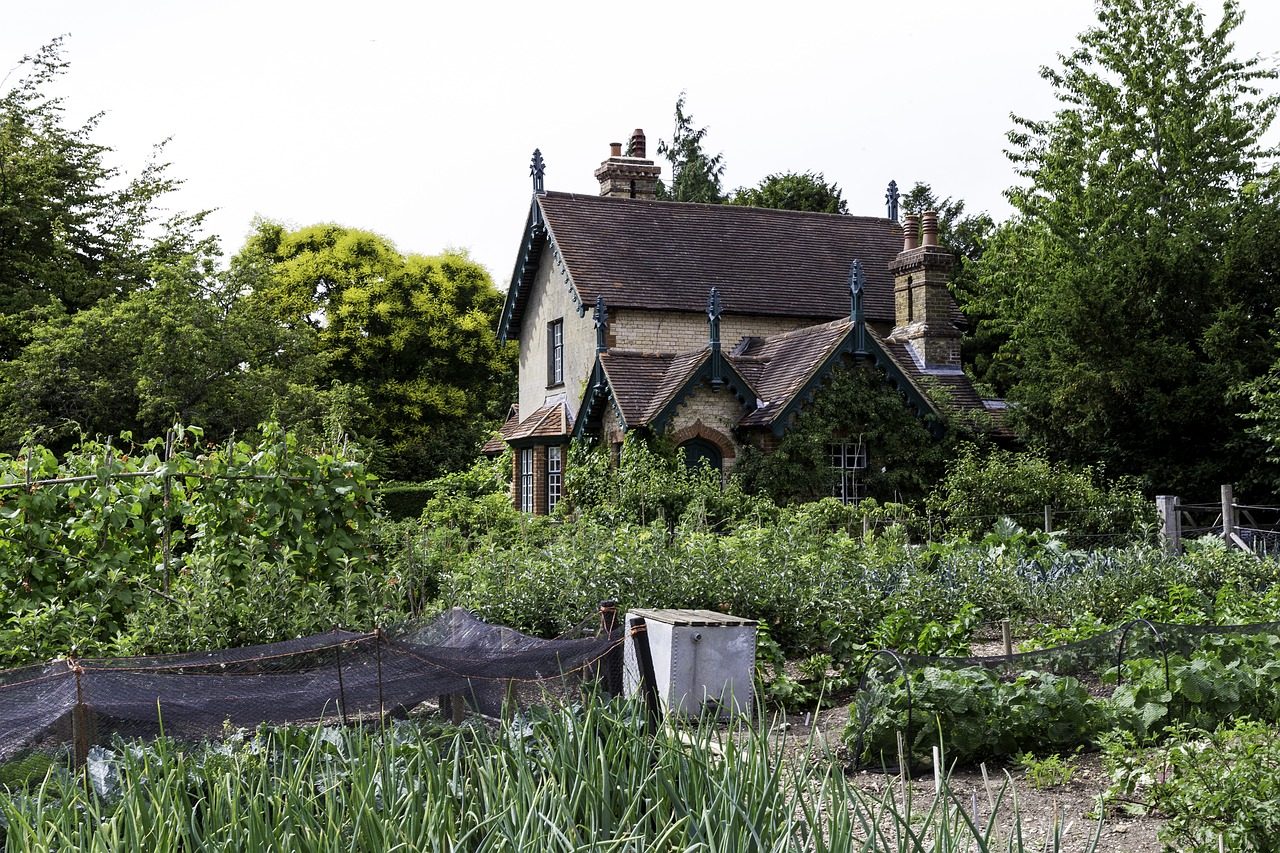 edwardian cottage traditional vegetable garden bean frames free photo