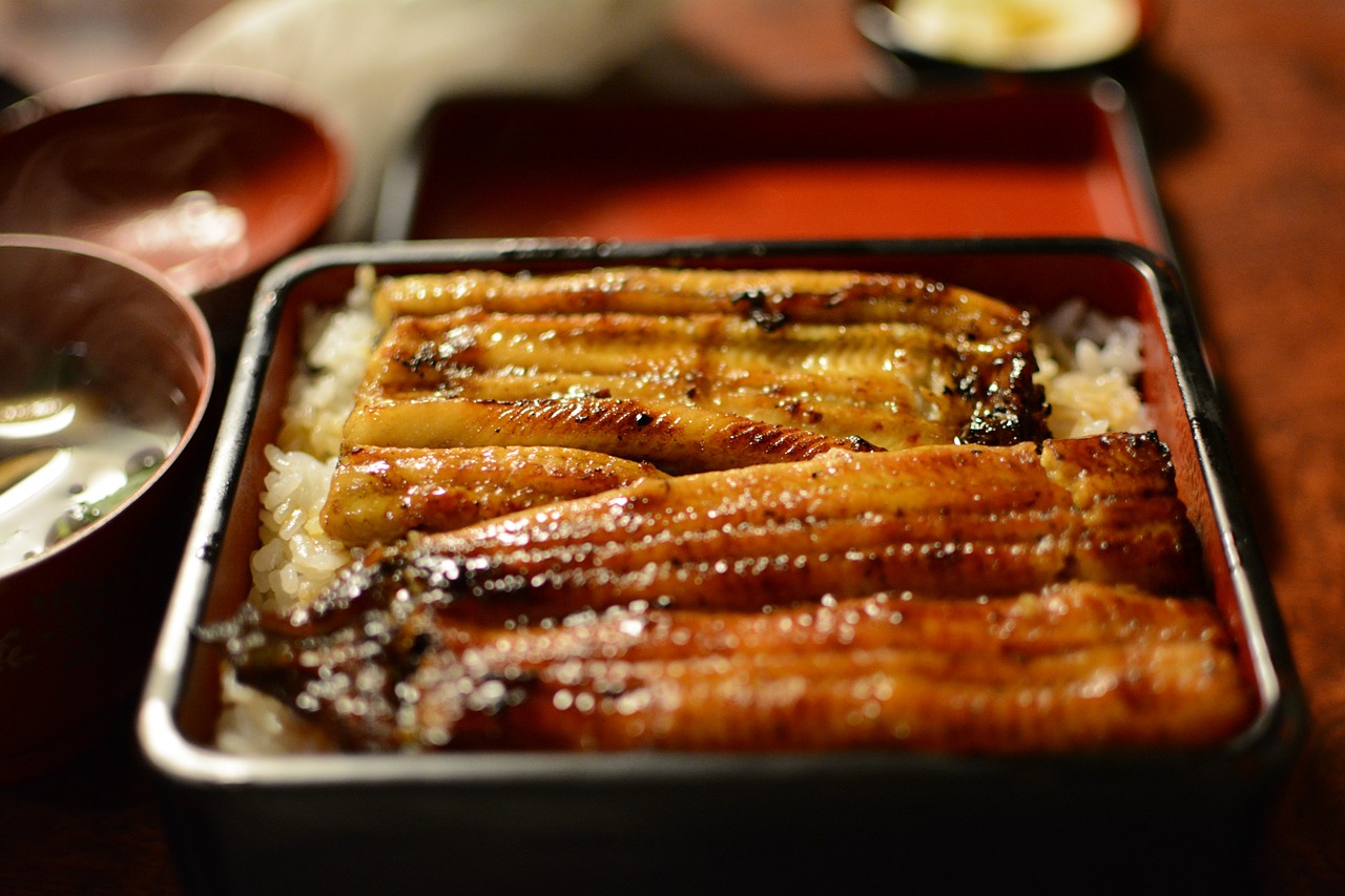 eel japan food free pictures free photo