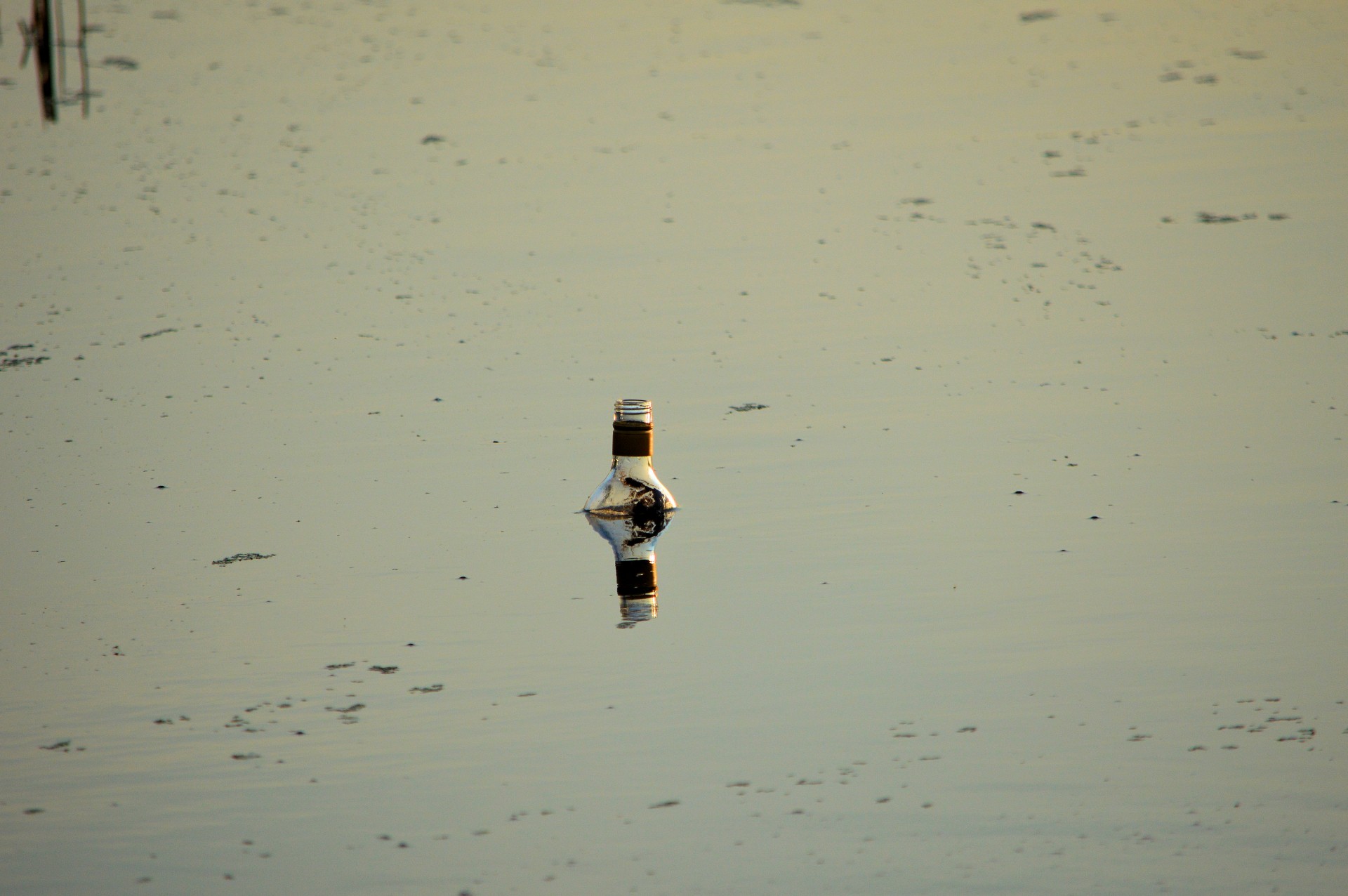 bottle water decoration free photo